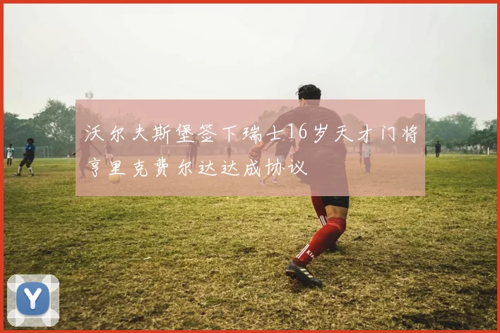 沃尔夫斯堡签下瑞士16岁天才门将亨里克费尔达达成协议