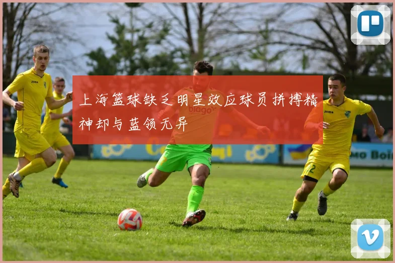 上海篮球缺乏明星效应球员拼搏精神却与蓝领无异